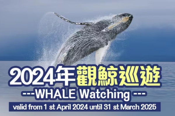 2024年观鲸巡游