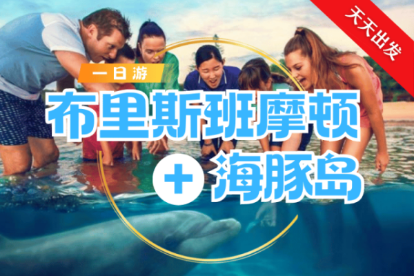 布里斯本摩顿海豚岛一日游(多种选择）