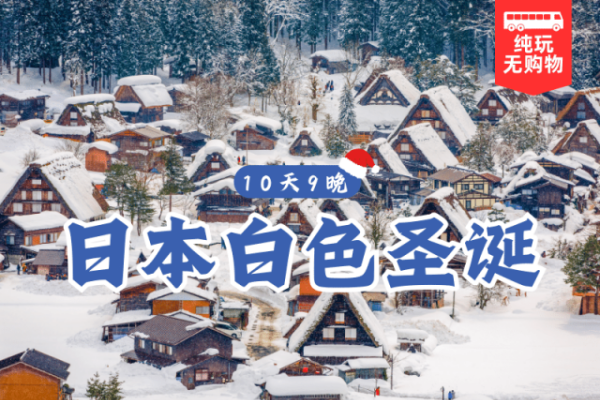 日本圣诞新年10天9晚特别团