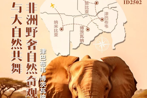 与大自然共舞非洲野奢奇观探秘11天及21天之旅