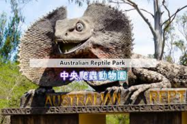 澳大利亚爬行动物园 Australian Reptile Park