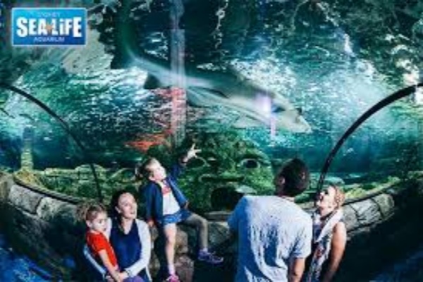 悉尼水族馆门票 (有效期扫码票)