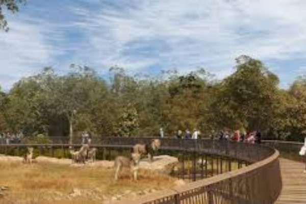 【Sydney Zoo】白天门票