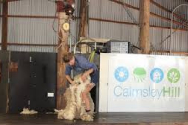 卡尔姆斯利山城市农场 Calmsley Hill City Farm Abbotsbury 门票