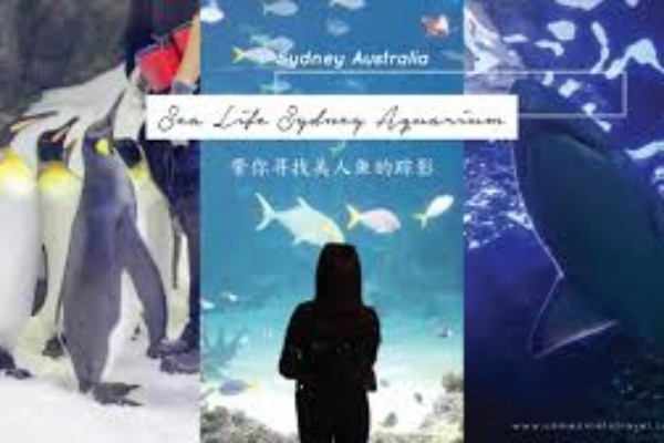 悉尼水族馆 三景点联票