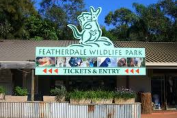 悉尼费瑟戴尔(Featherdale)野生动物园