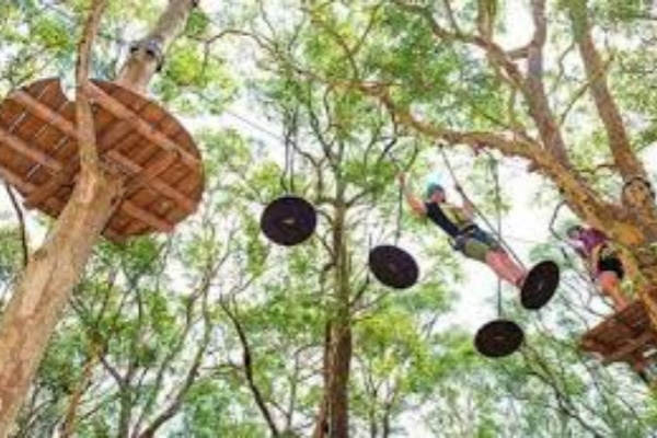TreeTops The Hills 成人/青少年/儿童城堡山树顶冒险公园