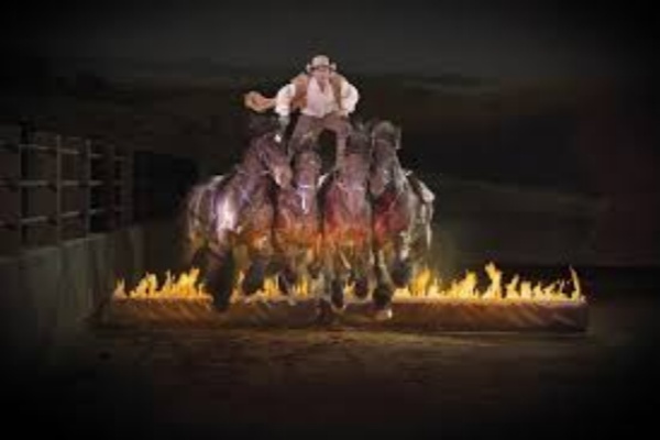 黄金海岸澳野奇观(Outback Spectacular)门票
