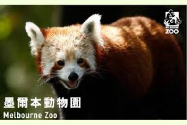 墨尔本动物园门票及活动