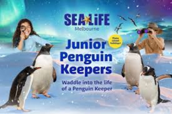 墨尔本水族馆SEA LIFE门票（限定场次仅限团队使用）