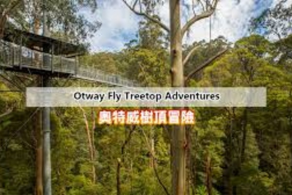 大洋路奥特威Otway探险公园树顶漫步