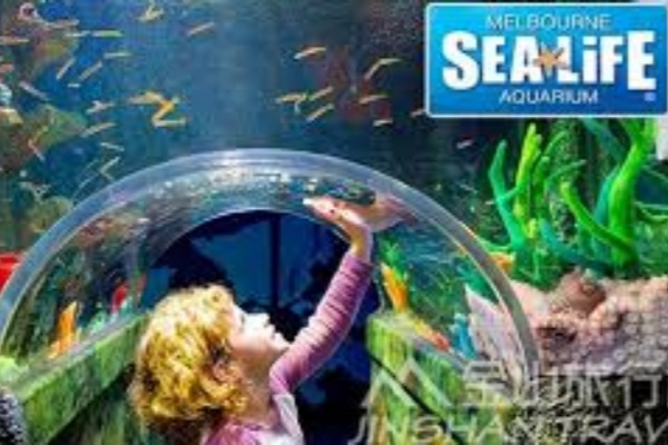 墨尔本水族馆SEA LIFE门票