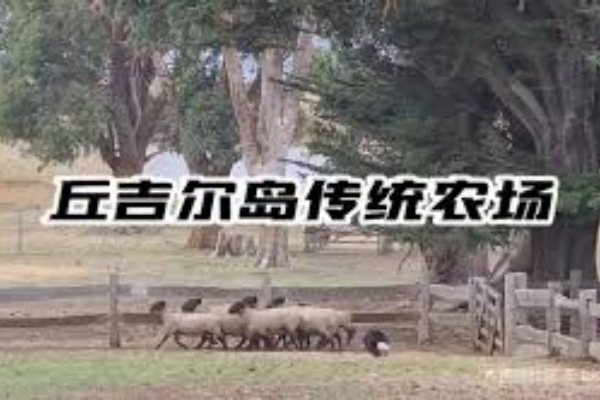 菲利普岛丘吉尔岛农庄门票（Churchill Island）