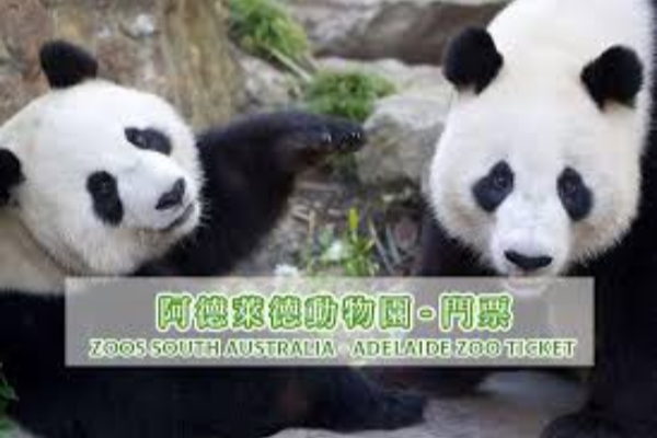 阿德莱德动物园门票