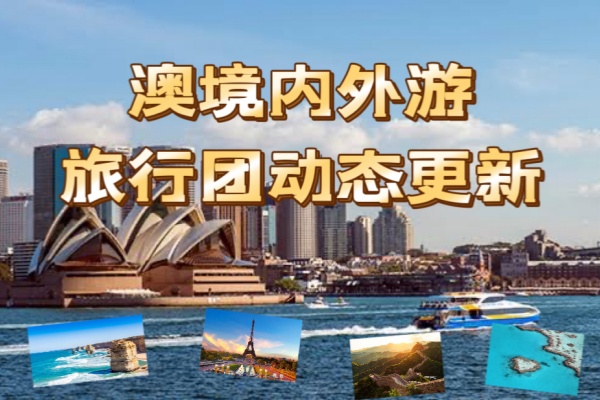 澳境内外游旅行团动态更新