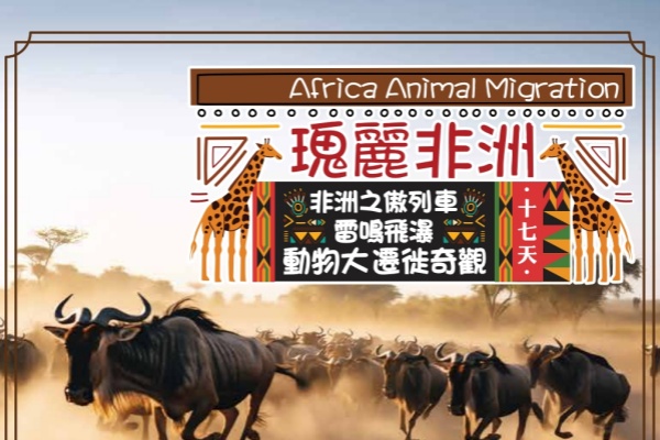 瑰丽非洲动物大迁移17日
