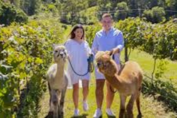 奥莱利·羊驼与美酒萤火虫之旅(白游)