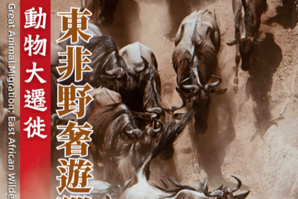 動物大遷徙東非野奢遊獵15天11晚之旅